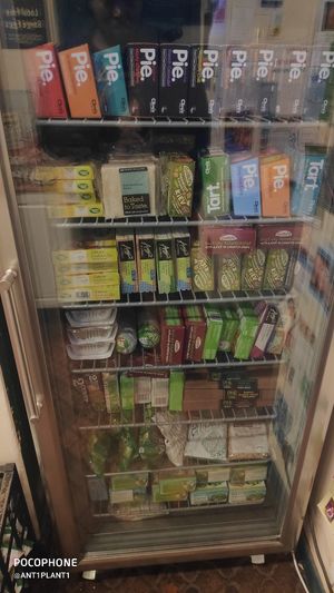 Frozen at Fodder in Hereford