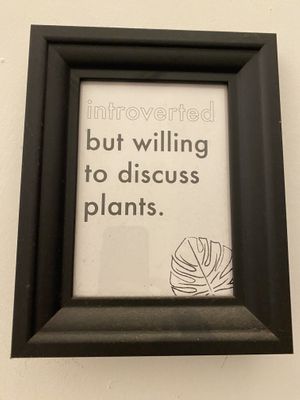 True.  at The Hungry Tapir in Kuala Lumpur