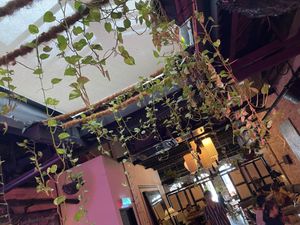 Coziest Vegan Dining Room in KL  at The Hungry Tapir in Kuala Lumpur