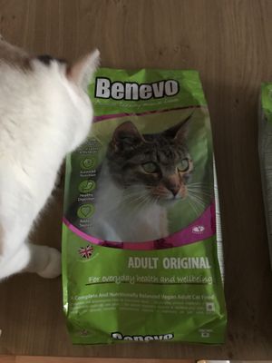 Vegan cat food  at VEGA-LIFE in Amsterdam