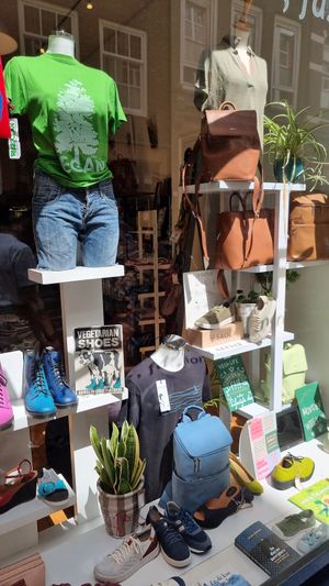 Window at VEGA-LIFE in Amsterdam