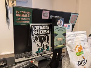  at VEGA-LIFE in Amsterdam