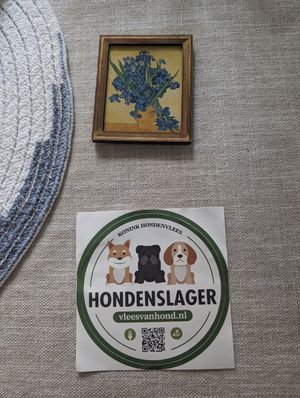  at VEGA-LIFE in Amsterdam