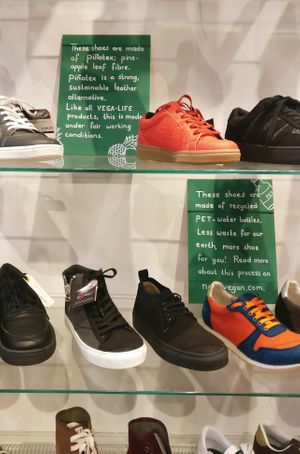 Our shoes are not only vegan; they are always made under fair working conditions and sustainable! Find shoes made out of pineapple leaf, recycled PET and more. at VEGA-LIFE in Amsterdam