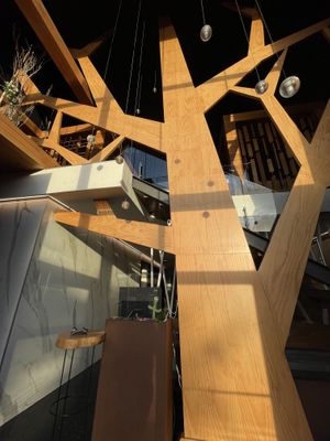   at Mikado in Vila Nova De Famalicao