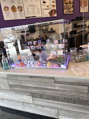 Examples   at Cinnaholic in Schaumburg