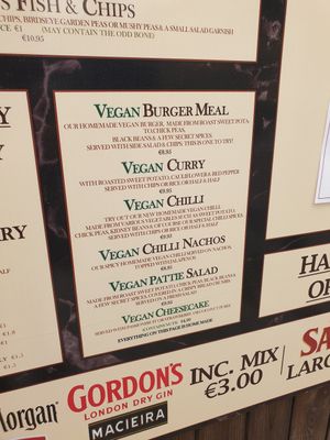  at Fat Cats Bar in Albufeira