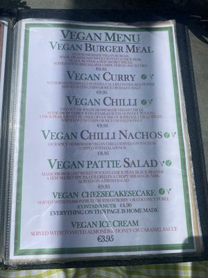   at Fat Cats Bar in Albufeira