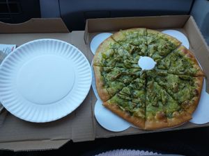 This is their largest pizza next to a small paper plate. ($30) at Pizzeria Halt in Modesto