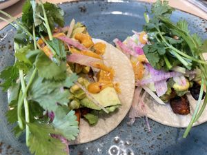 carrot and avocado tacos at Seed in New Orleans