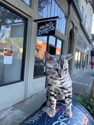   at Malibu's Burgers in Oakland