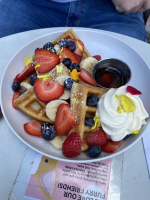   at Lulu Green in Boston