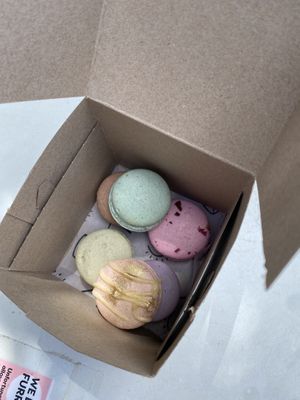   at Lulu Green in Boston