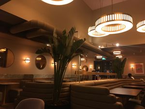 Very comfy and attractive  at Wulf & Lamb Marylebone in London