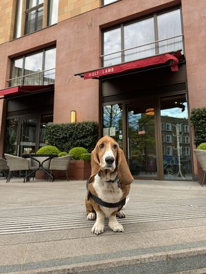 See you again soon  at Wulf & Lamb Marylebone in London