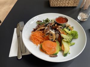 Berg Shasta  at Vegan Loving Hut Neubau in Vienna