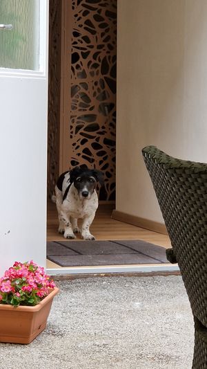  at Vegan Loving Hut Neubau in Vienna