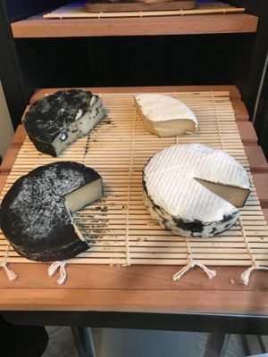 Come in and enjoy a free tasting! at Cultured Creamery in Santa Monica