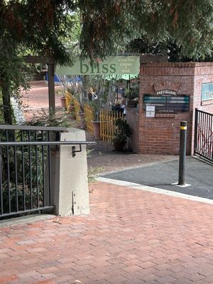 Lunch at Bliss Cafe  at Bliss Cafe in San Luis Obispo