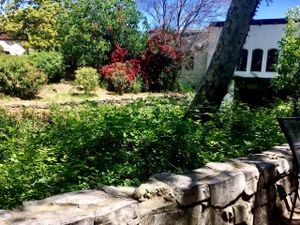 creek side view of back patio at Bliss Cafe in San Luis Obispo