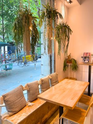 Cute  at Böl in Barcelona