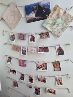 Inside at BeAnimal Hostel in Bangalore