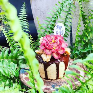 純植物花藝甜食 // 日式菓子 at Nä Yě 娜野 in Tainan