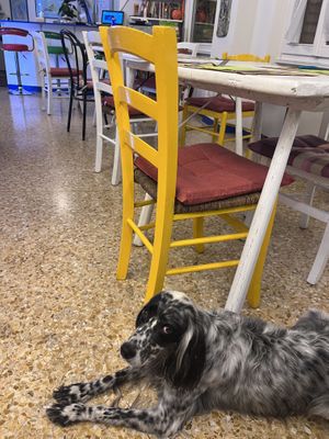   at Meublè Adriana in Sirmione