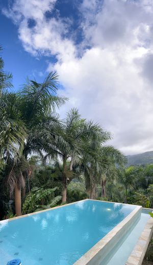Infinity pool overlooking the rainforestt  at Yuquiyú Treehouses in Rio Grande
