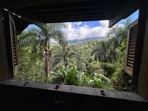 View from the bathroom. 😂  at Yuquiyú Treehouses in Rio Grande