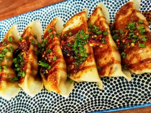 GYOZAS!!! at Vegan Sushi Bar - Kinkerstraat in Amsterdam