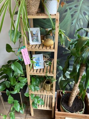  at Vegan Sushi Bar - Kinkerstraat in Amsterdam