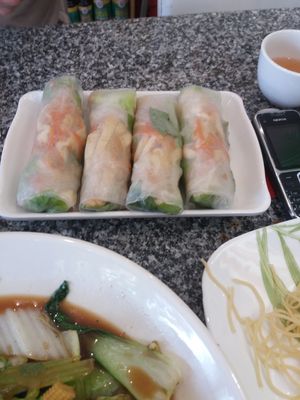 Nems at Loving Hut in Bankstown