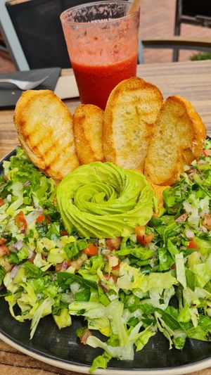 Sakads were also good at Avocadisimo in Gran Canaria