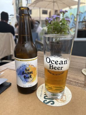   at Avocadisimo in Gran Canaria