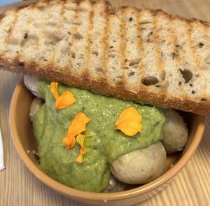 Funboard  at Avocadisimo in Gran Canaria