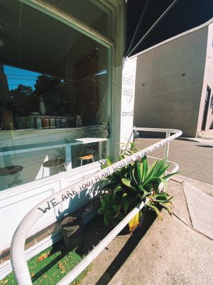 Vegan at Mon Chou in Bondi