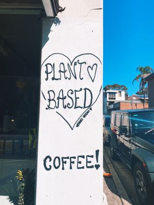 Plant based at Mon Chou in Bondi