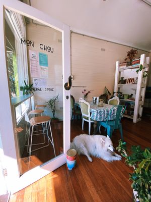 Doggo at Mon Chou in Bondi