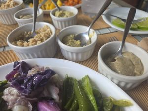 Executive vegan plat at samsara restaurant in Buzios