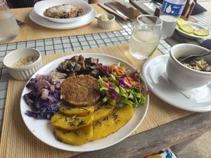 Vegan basic plate at samsara restaurant in Buzios