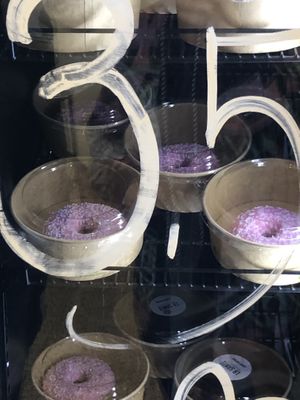 Vegan Donuts 🍩   at La Sante in Stuttgart