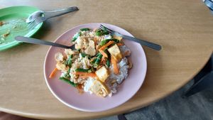 Patphet with tofu. Nice and spicy. I'd already eaten the spring rolls on the left! at Vegetarian Stall - 118 Food Court in Langkawi