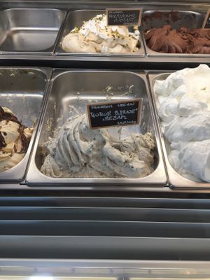homemade icecream, vegan flavors labeled  at Gelateria Ice Ice Baby in Stuttgart