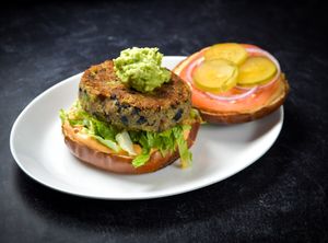 Tree Hugger at Plant Junkie W52 in New York City