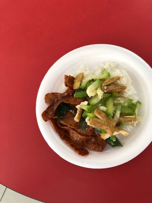 Their plates are disposable :( at Travelers Palm Vegetarian in Central Singapore