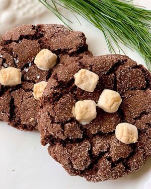 A seasonal favorite—mexican hot cocoa cookies! at Yellow Rose Vegan Bakery in Maplewood