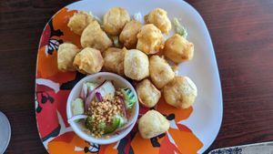 Fried Tofu (sauce was delicious) at Smile of Siam Thai in Shorewood