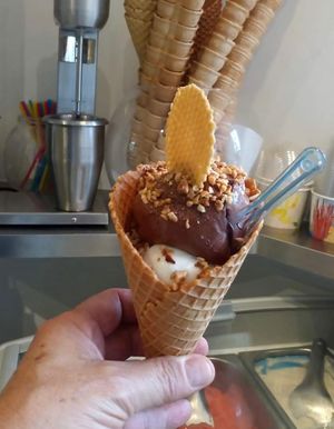 Vegan coconut and chocolate at Gelateria Fuori dal Comune in Chiasso