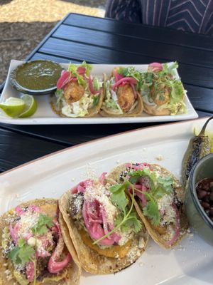 Weekly special and the carrot fish tacos   at The Plot in Oceanside
